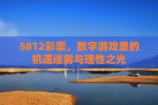 5812彩票,数字游戏里的机遇迷雾与理性之光 5812彩票,数字游戏里的机遇迷雾与理性之光