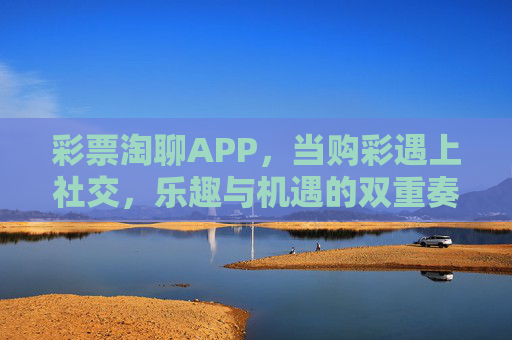 彩票淘聊APP，当购彩遇上社交，乐趣与机遇的双重奏，彩票淘聊APP，购彩遇社交，乐趣机遇双奏