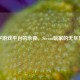 数字游戏平台的永夜，Steam玩家的无尽黑夜