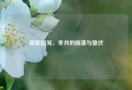 暗影囚笼，芈月的陨落与蛰伏