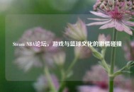 Steam NBA论坛，游戏与篮球文化的***碰撞