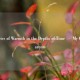 Memories of Warmth in the Depths of Time – My Grandparents