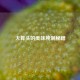大算头的美味腌制秘籍