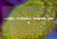 CSGO烟花，不止胜利荣光，指令解锁每一刻星光