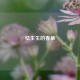 怯生生的春草
