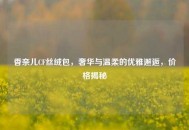 香奈儿CF丝绒包，奢华与温柔的优雅邂逅，价格揭秘