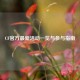 CF官方最新活动一览与参与指南