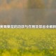 黄蜀葵花的功效与作用及禁忌全解析