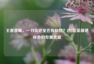王者荣耀，一刀流铠皇也有软肋？这5位英雄堪称他的专属克星