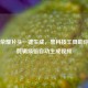 王者荣耀片头一键生成，黑科技工具助你告别剪辑烦恼自动生成视频