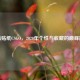 绝活贴纸CSGO，2020年个性与收藏的巅峰融合