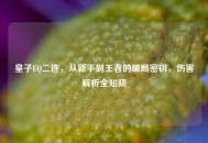皇子EQ二连，从新手到王者的破局密钥，伤害解析全知晓