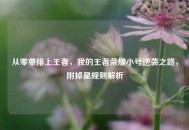从零单排上王者，我的王者荣耀小号逆袭之路，附掉星规则解析