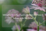 Information Steam Age: Cognitive Revolution and Future Challenges in the Data Deluge