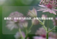 桑菊饮，传统良方的功效、作用与禁忌全解析