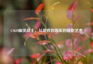 CSGO幽灵战士，从游戏到现实的暗影艺术