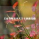 王者荣耀助手大王卡使用指南