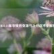 LOL11.14版本强势英雄与上分战术全解析