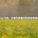 CS:GO飞羽，子弹与梦想交织的传奇瞬间