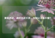黄泉逆战，魂归处战不休，为何让人搞不懂？