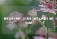 野区王者ID解析，LOL高端打野命名的艺术与战术隐喻