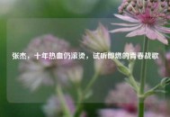 张杰，十年热血仍滚烫，试听即燃的青春战歌