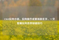 CSGO反向小组，反向操作成赛场新玄学，一文看懂反向急停按键技巧