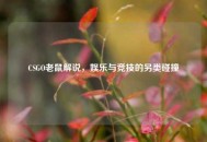 CSGO老鼠解说，娱乐与竞技的另类碰撞