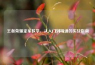 王者荣耀定军教学，从入门到精通的实战指南