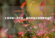 王者荣耀人机匹配，福利体验还是隐藏套路？