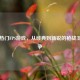 Steam热门FPS游戏，从经典到新锐的枪战王者之争