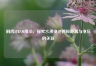 厨房STEAM魔法，探究水果电池两极距离与电压的关联