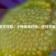 CF微氪党攻略，小预算高回报，这样买最划算！