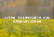 CSGO音乐盒，从听觉符号到品质标杆，解锁游戏声音进阶美学与品质差异