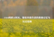 CSGO网吧5E时光，那些并肩作战的青春记忆与玩法指南