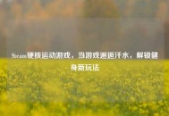 Steam硬核运动游戏，当游戏邂逅汗水，解锁健身新玩法