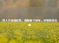 野人沟猎场逆战,揭秘箱中秘辛,绝境绝地反击
