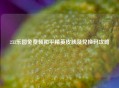 233乐园免费领和平精英皮肤及兑换码攻略