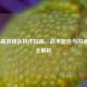 COD16高效组队协作指南，战术配合与沟通技巧全解析