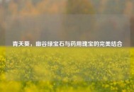 青天葵，幽谷绿宝石与药用瑰宝的完美结合