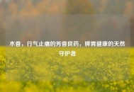 木香，行气止痛的芳香良药，脾胃健康的天然守护者