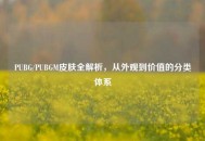 PUBG/PUBGM皮肤全解析，从外观到价值的分类体系