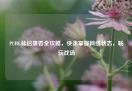 PUBG延迟查看全攻略，快速掌握     状态，畅玩战场