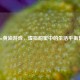 Steam黄油游戏，虚拟甜蜜中的生活平衡哲学