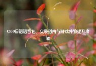 CSGO日语语音包，安装指南与游戏体验提升攻略
