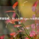 CS:GO发音指南，从C-S-Go到Counter-Strike的正确读法