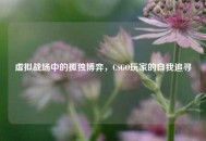 虚拟战场中的孤独博弈，CSGO玩家的自我追寻