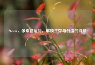 Steam，像素管道间，解锁生存与创造的诗意