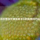高效出售和平精英单字ID的实用技巧指南