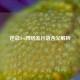 逆战3-6     流行语含义解析